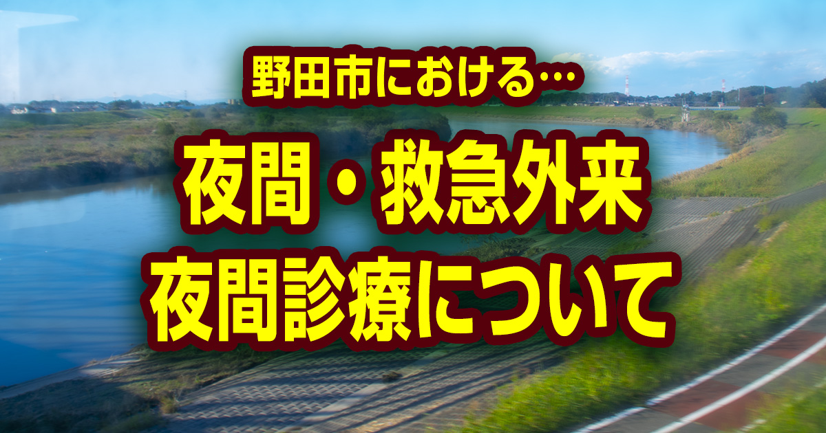 休日 夜間診療 のだしねっと